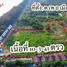  Land for sale in Phe, Rayong, Phe