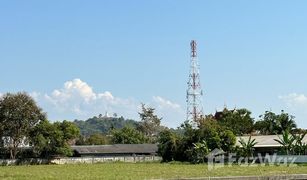 N/A Grundstück zu verkaufen in Tha Sut, Chiang Rai 