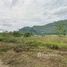  Land for sale in Nakhon Ratchasima, Nong Nam Daeng, Pak Chong, Nakhon Ratchasima