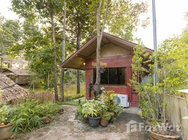 บ้านเดี่ยว 1 ห้องนอน ให้เช่า ในทำเล ห้วยทราย, เชียงใหม่, ห้วยทราย