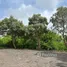  Terreno (Parcela) en venta en Uluwatu, Bali, Uluwatu, Badung