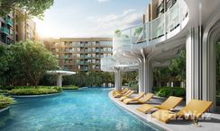 รูปถ่าย 3 of the Communal Pool at เคฟ ทาวน์ โคโลนี