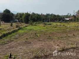 ขายที่ดิน ใน เชียงใหม่, ห้วยทราย, แม่ริม, เชียงใหม่
