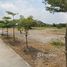 Terrain for sale in Mueang Pathum Thani, Pathum Thani, Bang Khu Wat, Mueang Pathum Thani