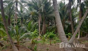 N/A Land for sale in Bang Chang, Samut Songkhram 