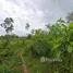  Land for sale in Thep Krasattri, Phuket, Thep Krasattri