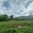  Land for sale in Mae Chan, Chiang Rai, Mae Chan, Mae Chan