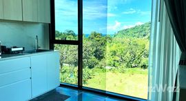 ยูนิตที่เหลืออยู่ในโครงการ วีว่า ป่าตอง