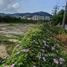  Terreno (Parcela) en venta en Patong, Kathu, Patong