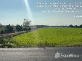 ขายที่ดิน ใน ท่าช้าง, พิษณุโลก, ท่าช้าง, พรหมพิราม, พิษณุโลก, ไทย