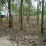  Land for sale in Chak Phong, Rayong, Chak Phong, Klaeng