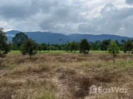 在尖竹汶出售的 土地, Ang Khiri, Makham, 尖竹汶