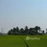  Land for sale in Bueng Bon, Pathum Thani, Bueng Bon, Nong Suea
