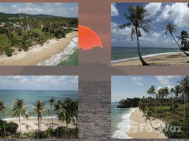 ขายที่ดิน ใน ศาลาด่าน, กระบี่, ศาลาด่าน, เกาะลันตา, กระบี่