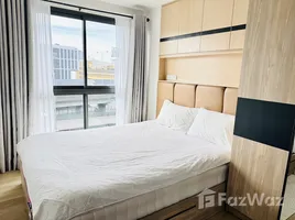 คอนโด 1 ห้องนอน ให้เช่า ในโครงการ ดิ เอ็กเซล ไฮด์ อะเวย์ สุขุมวิท 71, พระโขนงเหนือ