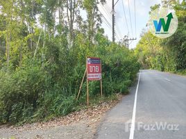 ขายที่ดิน ใน ทะเลน้อย, พัทลุง, ทะเลน้อย, ควนขนุน, พัทลุง, ไทย