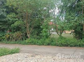 N/A Land for sale in Khi Lek, Chiang Mai Land for Sale in Mae Rim