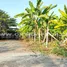  Land for sale in Sam Phran, Nakhon Pathom, Sam Phran, Sam Phran, Nakhon Pathom