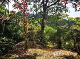  Земельный участок for sale in Puntarenas, Golfito, Puntarenas