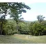  Terrain for sale in Guanacaste, Nicoya, Guanacaste