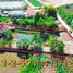 3 спален Дом for sale in Taphong, Районг, Taphong, Мыанг Районг, Районг