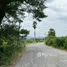  Land for sale in Wang Dong, Kanchanaburi, Wang Dong