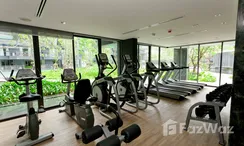 Фото 3 of the Communal Gym at The Deck Patong