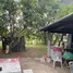 3 Bedroom House for sale in Chum Phae, Khon Kaen, Chum Phae, Chum Phae, Khon Kaen