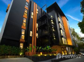24 Habitación Hotel en venta en Suthep, Mueang Chiang Mai, Suthep