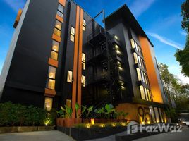 24 Bedroom Hotel for sale in Chiang Mai University Demonstration School, Suthep, Suthep