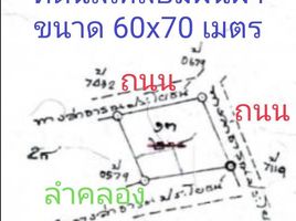 ขายที่ดิน ใน หนองอ้อ, ราชบุรี, หนองอ้อ