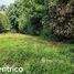  Land for sale in Perez Zeledon, San Jose, Perez Zeledon