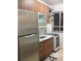 1 Habitación Apartamento en venta en Jardim Shangai, Pesquisar, Bertioga, São Paulo, Brasil