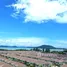 1 Bedroom Apartment for sale at Supalai Lagoon Phuket, Ko Kaeo