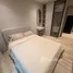 Estudio Departamento en alquiler en Sunvida Tower, Cebu City, Cebu
