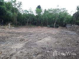  Land for sale in Lampang, Chomphu, Mueang Lampang, Lampang