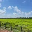 在FazWaz.cn出售的 土地, Acara, 帕拉州, 巴西