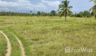 N/A Land for sale in Bang Muang, Phangnga 