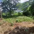  Terreno (Parcela) en venta en Carrillo, Guanacaste, Carrillo