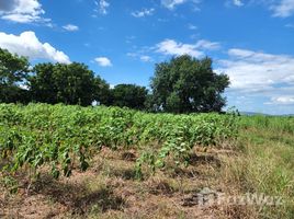  Grundstück zu verkaufen in Phatthana Nikhom, Lop Buri, Di Lang, Phatthana Nikhom