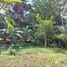  Land for sale in Pococi Limon, Pococi, Limon