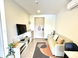 อพาร์ทเม้นท์ 1 ห้องนอน ให้เช่า ในโครงการ ดีคอนโด รีฟ ภูเก็ต, กะทู้, กะทู้