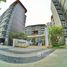 1 Habitación Apartamento en alquiler en The Trust condo Amata, Nong Mai Daeng, Mueang Chon Buri