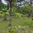  Terreno for sale in Brasil, Boca do Acre, Amazonas, Brasil