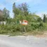  Land for sale in Sai Noi, Nonthaburi, Nong Phrao Ngai, Sai Noi