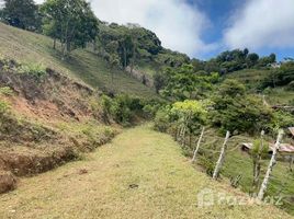 在Cartago出售的 土地, Cartago, Cartago