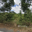  Land for sale in Lamphun, Nakhon Chedi, Pa Sang, Lamphun