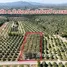  Земельный участок for sale in Wang Chan, Районг, Wang Chan, Wang Chan