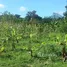 Terrain à vendre à Puerto Plata, San Felipe De Puerto Plata