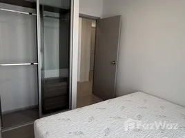 คอนโด 2 ห้องนอน ให้เช่า ในโครงการ เดอะพาร์คแลนด์ เพชรเกษม 56, บางหว้า